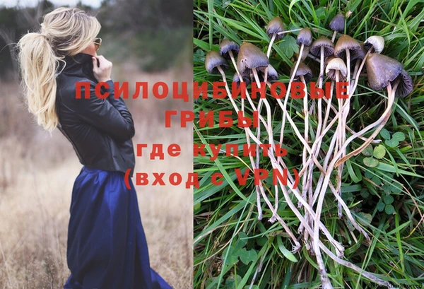 мескалин Лихославль
