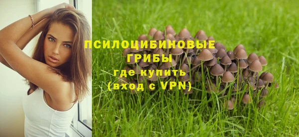 бутират Лиски