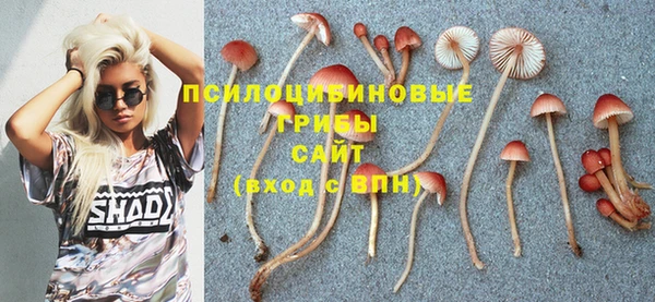 мескалин Лихославль