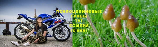мескалин Лихославль