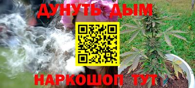 прущие крисы Гусев