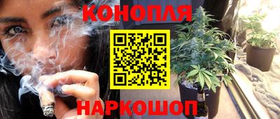 прущие крисы Гусев