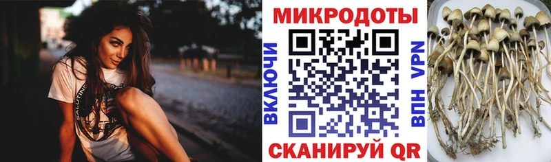 Псилоцибиновые грибы ЛСД  Электрогорск 