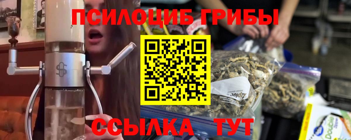 где купить   Вход с VPN  Псилоцибиновые грибы Psilocybine cubensis  Электрогорск  Псилоцибиновые грибы Psilocybe 