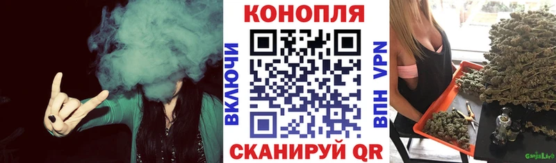 закладки  Электрогорск  Конопля VHQ 
